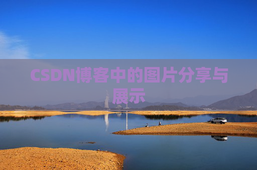 CSDN博客中的图片分享与展示