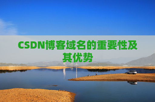 CSDN博客域名的重要性及其优势